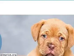 Sites similar to cvcustoias.pt