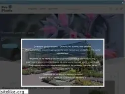 Sites similar to cvetnaborsa.com