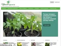 Sites similar to cvetok-v-dome.ru