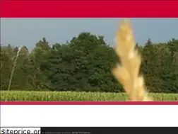 Sites similar to cvjm-bgl.de