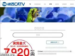 Sites similar to cvk.ne.jp