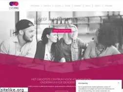Sites similar to cvopro.be