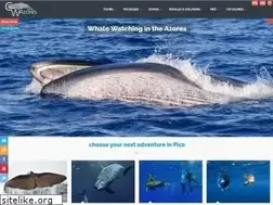 Sites similar to cwazores.com