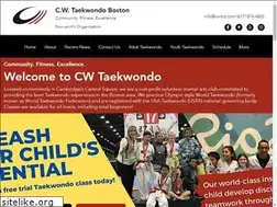 Sites similar to cwtkd.com