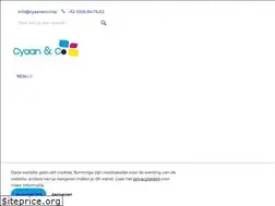 Sites similar to cyaanenco.be