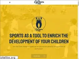 Sites similar to cybearstribe.com
