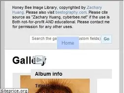 Sites similar to cyberbee.net