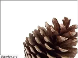 Sites similar to cybersurreal.com