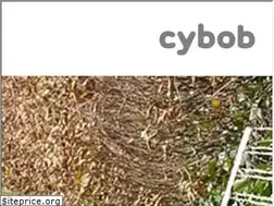 Sites similar to cybob.com
