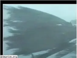Sites similar to cyclonejim.com