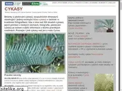 Sites similar to cykasy.cz