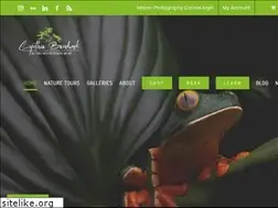 Sites similar to cynthiabandurek.com