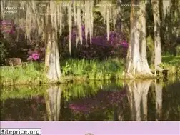 Sites similar to cypresstoypoodles.com