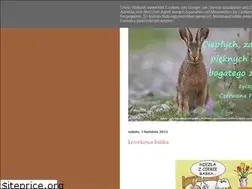 Sites similar to czerwonafilizanka.blogspot.com