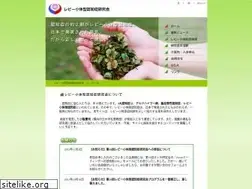 Sites similar to d-lewy.com