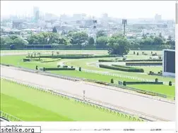 Sites similar to d2sg.jp
