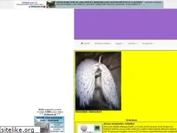 Sites similar to dabolczi52.multiapro.com