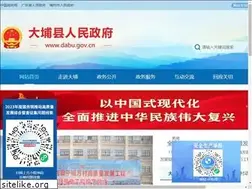 Sites similar to dabu.gov.cn