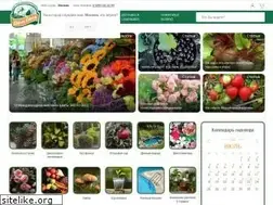 Sites similar to dachadacha.com