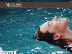 Sites similar to dadakthermal.com