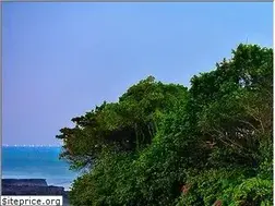 Sites similar to dadapayu.my.id