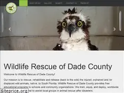 Sites similar to dadewildliferescue.com