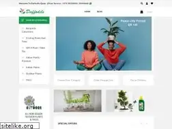 Sites similar to daffodilsme.com