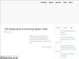 Sites similar to dafuqfacts.com