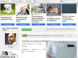 Sites similar to dagich.ru