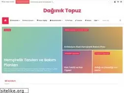 Sites similar to daginiktopuz.com
