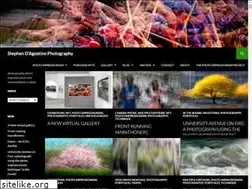 Sites similar to dagostino.ca