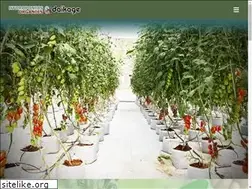 Sites similar to daikage.net