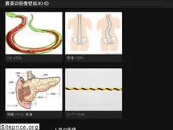 Sites similar to daikisukes.web.app
