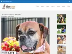 Sites similar to dailyboxer.com