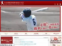 Sites similar to daisho-baseballob.com