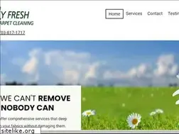 Sites similar to daisyfreshcarpetcleaning.com