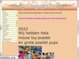 Sites similar to daisysbeautifulpoodles.nl