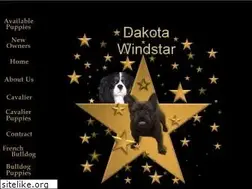 Sites similar to dakotawindstar.com