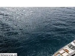 Sites similar to dalboramarine.com.au