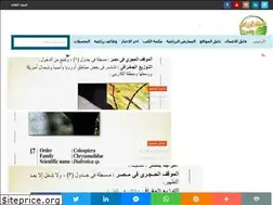 Sites similar to dalelkelzeraee.blogspot.com.eg