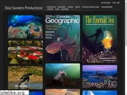 Sites similar to dalesanders.info