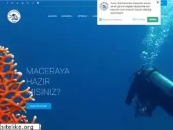 Sites similar to dalisakademisi.org