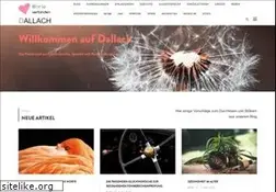 Sites similar to dallach.de