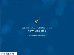 Sites similar to dallasmetrofood.com