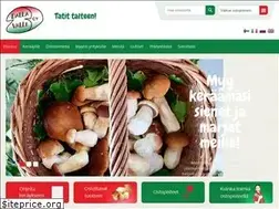 Sites similar to dallavalle.fi