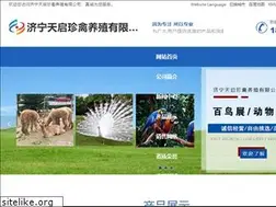 Sites similar to dalmarko.com