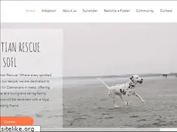 Sites similar to dalmatianrescue.com