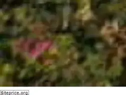 Sites similar to dam.uz
