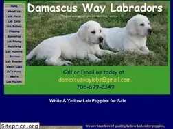 Sites similar to damascuswaylabradors.com