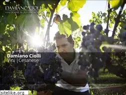 Sites similar to damianociolli.it